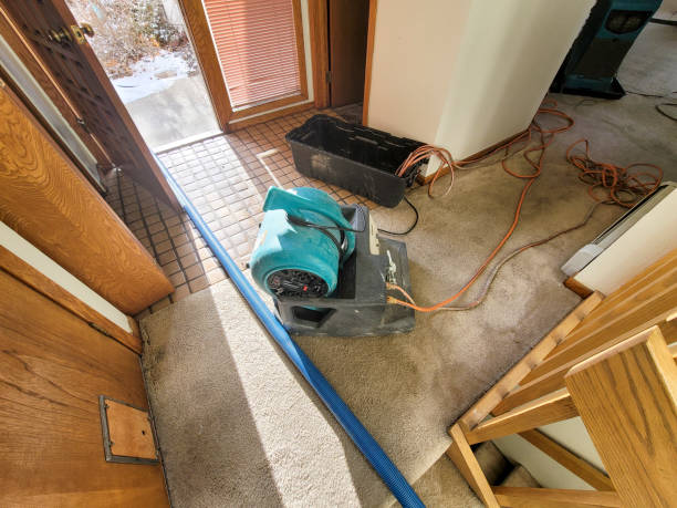 Best Ceiling water damage repair  in Orangetree, FL