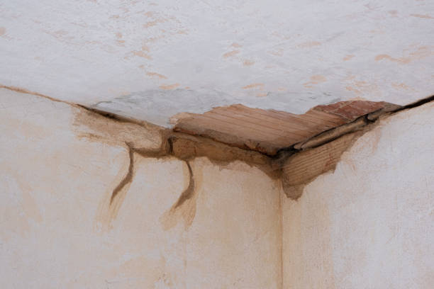 Best Flood restoration services  in Orangetree, FL
