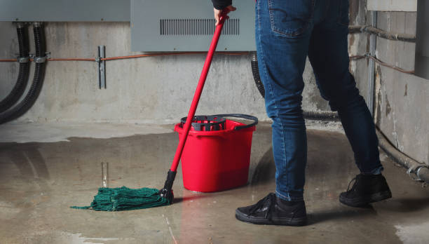 Best Local water damage restoration  in Orangetree, FL
