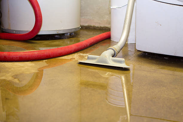 Best Commercial water damage restoration  in Orangetree, FL