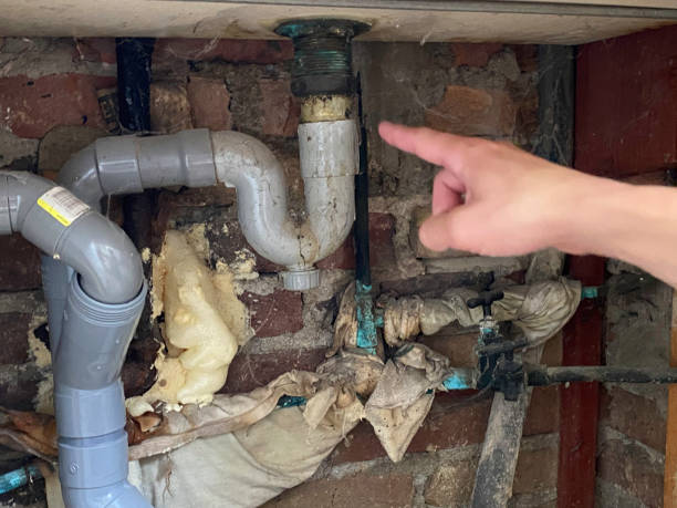 Water damage restoration mold remediation in Orangetree, FL